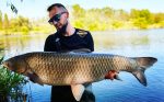 Competition Z Tare 16mm 5kg - Image 3